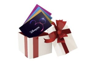 Disneyland Paris dated tickets