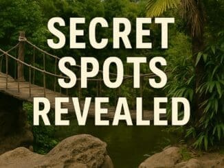 16 hidden secrets in disneyland paris