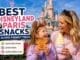 Mother and daughter enjoying a Mickey waffle and soft serve ice cream in front of Disneyland Paris Castle, highlighting the best snacks and allergy-friendly treats at Disneyland Paris.