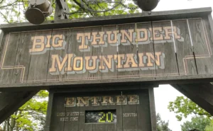 ride queue times at disneyland paris