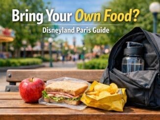 Packed lunch with sandwich apple and water bottle at Disneyland Paris showing what food you can bring into the park