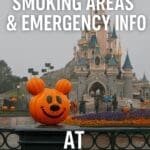 Disneyland Paris Lost Property sign with family and park map