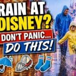 Rain strategy Disneyland Paris family ponchos wet weather theme park tips castle background