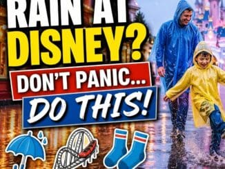 Rain strategy Disneyland Paris family ponchos wet weather theme park tips castle background