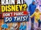 Rain strategy Disneyland Paris family ponchos wet weather theme park tips castle background