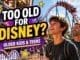 Disneyland Paris for older kids and teens enjoying thrill rides and attractions