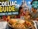 Coeliac guide to Disneyland Paris with gluten-free meal, allergy card and castle background