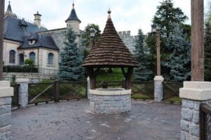 disneyland paris wishing well