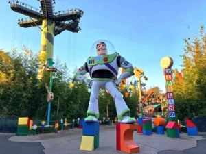 toy story play land proposal