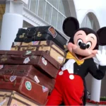 DLP express luggage service