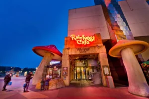 Rainforest Cafe Disneyland Paris
