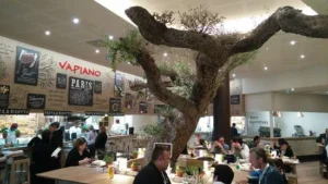 Vapianos Disneyland Paris